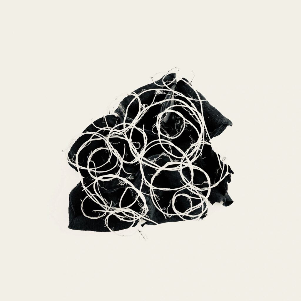 Black Holes White Lines